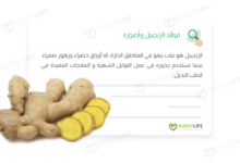 صورة فوائد الزنجبيل Ginger وأضراره